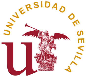 La Universidad Sevilla ofrece la prueba de acceso a la Universidad para mayores de 45 años. Preparate con nuestro curso a distancia
